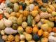 Best 5 Winter Squash Varieties To Cook